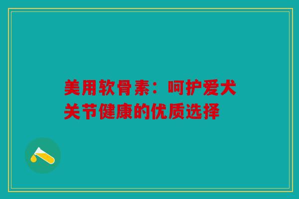 美用软骨素：呵护爱犬关节健康的优质选择