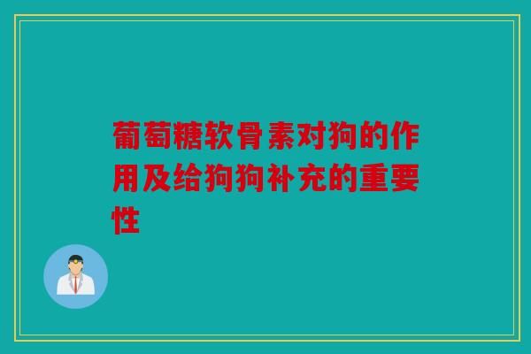 葡萄糖软骨素对狗的作用及给狗狗补充的重要性