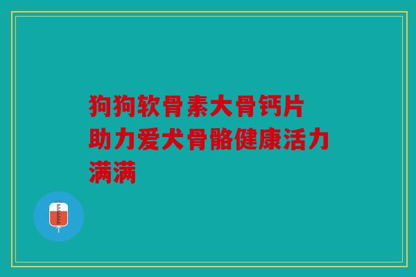 狗狗软骨素大骨钙片 助力爱犬骨骼健康活力满满