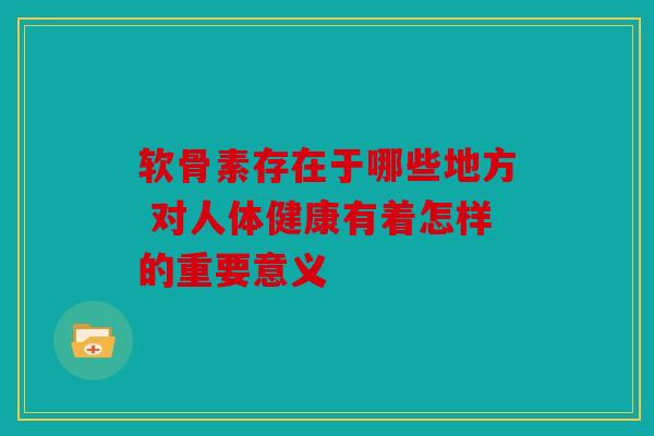 软骨素存在于哪些地方 对人体健康有着怎样的重要意义