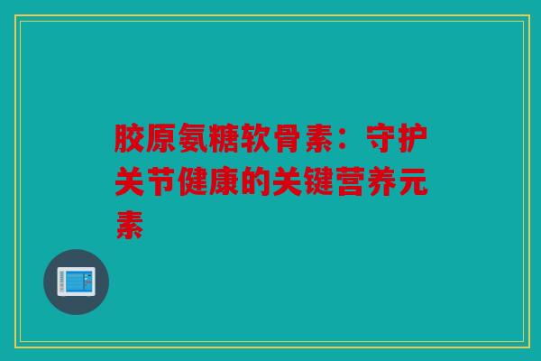 胶原氨糖软骨素：守护关节健康的关键营养元素