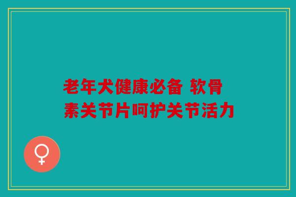 老年犬健康必备 软骨素关节片呵护关节活力