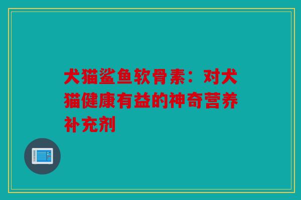 犬猫鲨鱼软骨素：对犬猫健康有益的神奇营养补充剂