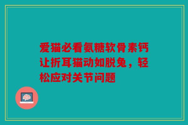 爱猫必看氨糖软骨素钙让折耳猫动如脱兔，轻松应对关节问题