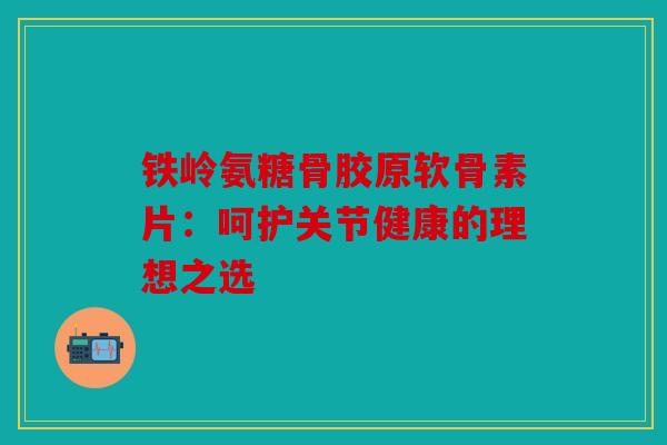 铁岭氨糖骨胶原软骨素片：呵护关节健康的理想之选