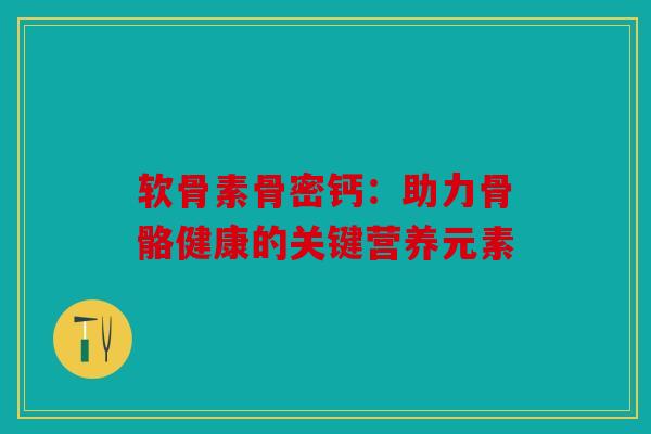软骨素骨密钙：助力骨骼健康的关键营养元素