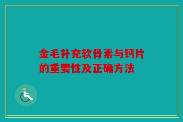 金毛补充软骨素与钙片的重要性及正确方法