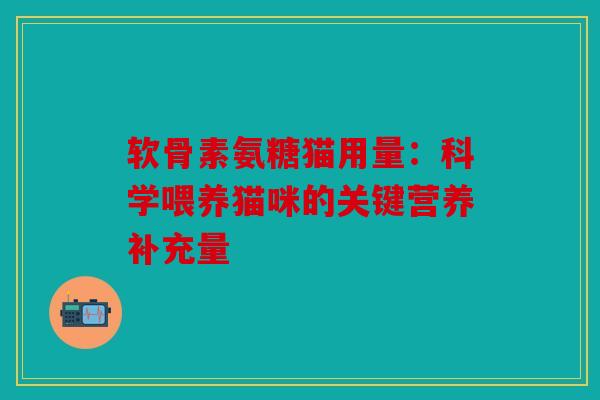 软骨素氨糖猫用量：科学喂养猫咪的关键营养补充量
