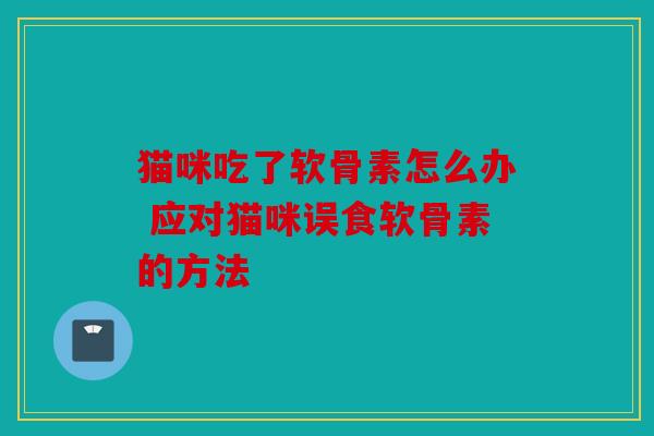 猫咪吃了软骨素怎么办 应对猫咪误食软骨素的方法