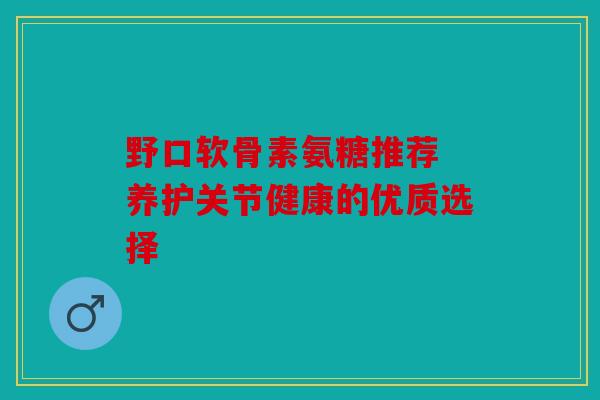 野口软骨素氨糖推荐 养护关节健康的优质选择