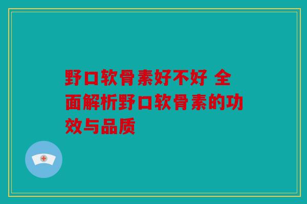 野口软骨素好不好 全面解析野口软骨素的功效与品质