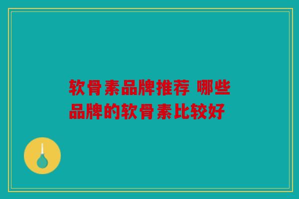 软骨素品牌推荐 哪些品牌的软骨素比较好