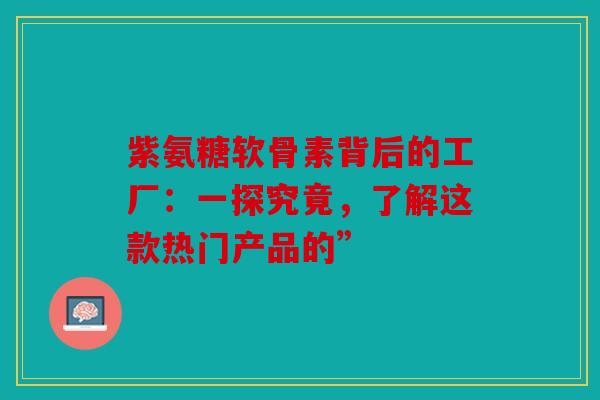 紫氨糖软骨素背后的工厂：一探究竟，了解这款热门产品的”