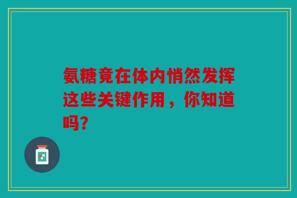 氨糖竟在体内悄然发挥这些关键作用，你知道吗？