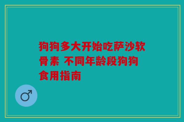 狗狗多大开始吃萨沙软骨素 不同年龄段狗狗食用指南