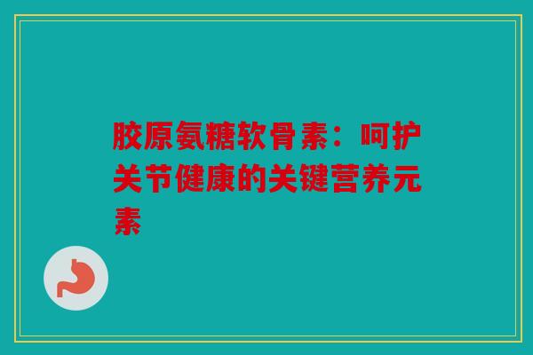 胶原氨糖软骨素：呵护关节健康的关键营养元素