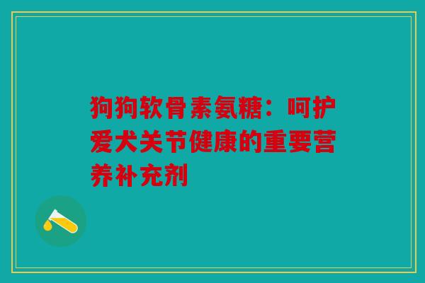 狗狗软骨素氨糖：呵护爱犬关节健康的重要营养补充剂