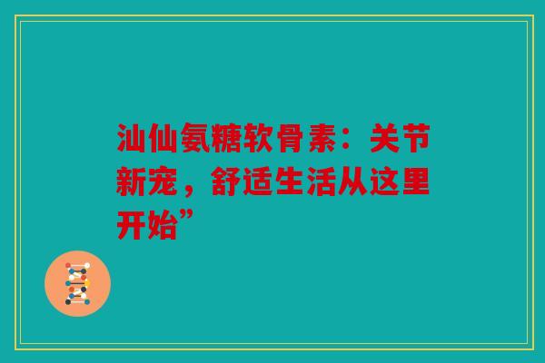 汕仙氨糖软骨素：关节新宠，舒适生活从这里开始”