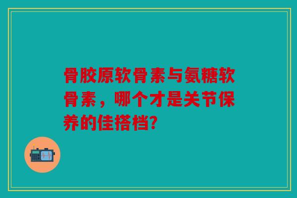 骨胶原软骨素与氨糖软骨素，哪个才是关节保养的佳搭档？