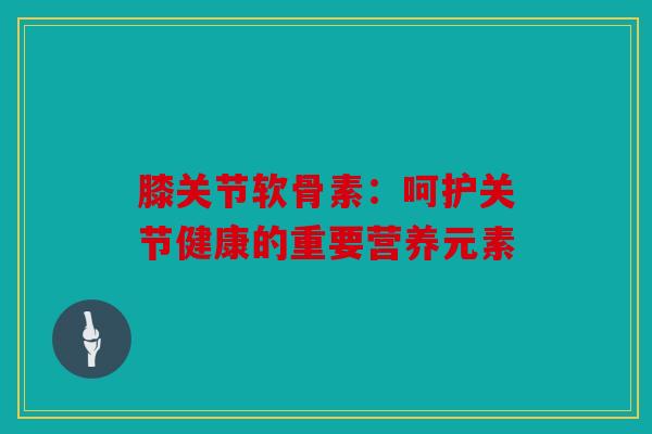膝关节软骨素：呵护关节健康的重要营养元素