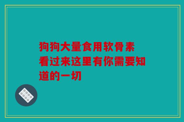 狗狗大量食用软骨素 看过来这里有你需要知道的一切