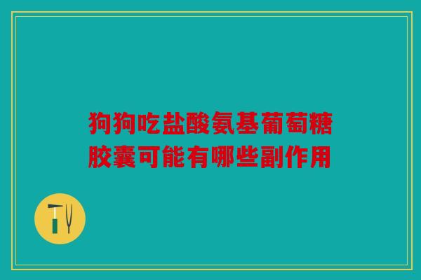 狗狗吃盐酸氨基葡萄糖胶囊可能有哪些副作用