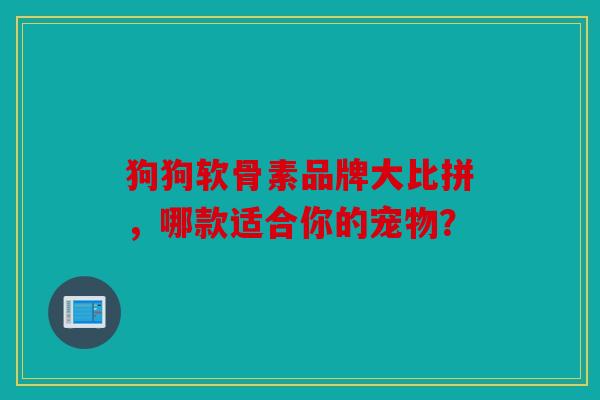 狗狗软骨素品牌大比拼，哪款适合你的宠物？