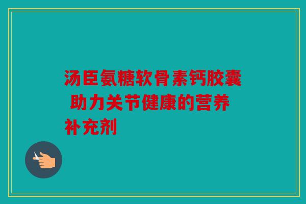 汤臣氨糖软骨素钙胶囊 助力关节健康的营养补充剂