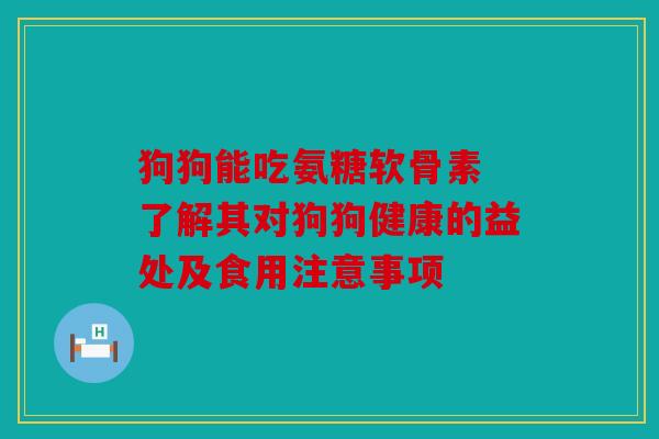 狗狗能吃氨糖软骨素 了解其对狗狗健康的益处及食用注意事项