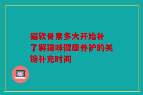 猫软骨素多大开始补 了解猫咪健康养护的关键补充时间