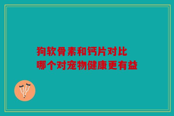 狗软骨素和钙片对比 哪个对宠物健康更有益