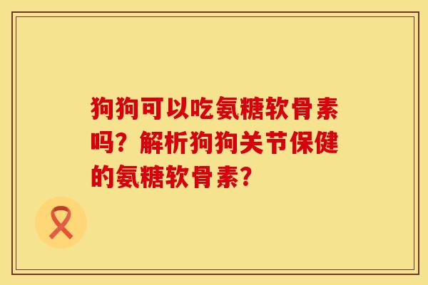 狗狗可以吃氨糖软骨素吗？解析狗狗关节保健的氨糖软骨素？
