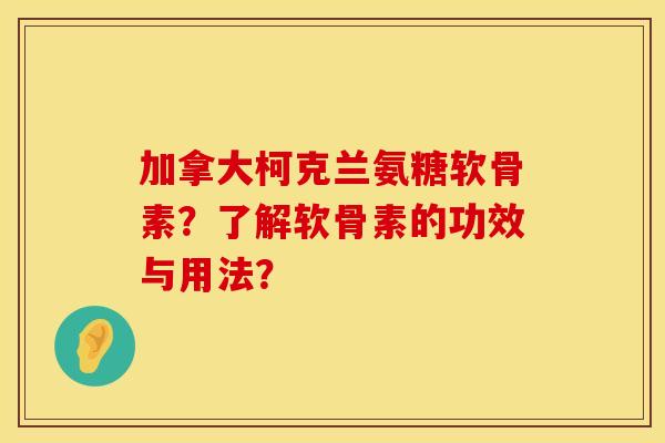 加拿大柯克兰氨糖软骨素？了解软骨素的功效与用法？