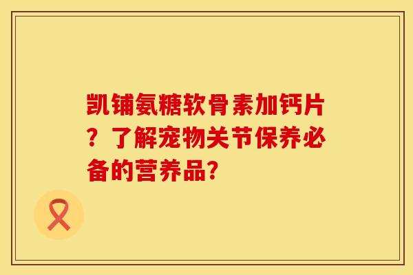 凯铺氨糖软骨素加钙片？了解宠物关节保养必备的营养品？
