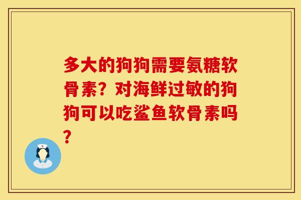 多大的狗狗需要氨糖软骨素？对海鲜过敏的狗狗可以吃鲨鱼软骨素吗？