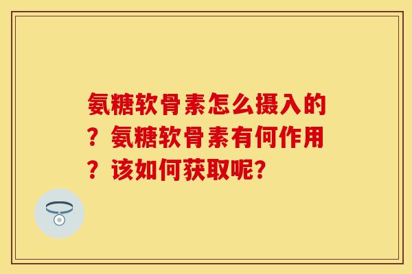 氨糖软骨素怎么摄入的？氨糖软骨素有何作用？该如何获取呢？