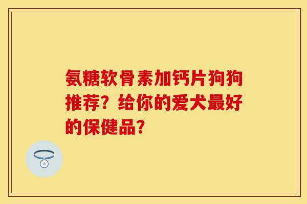 氨糖软骨素加钙片狗狗推荐？给你的爱犬最好的保健品？