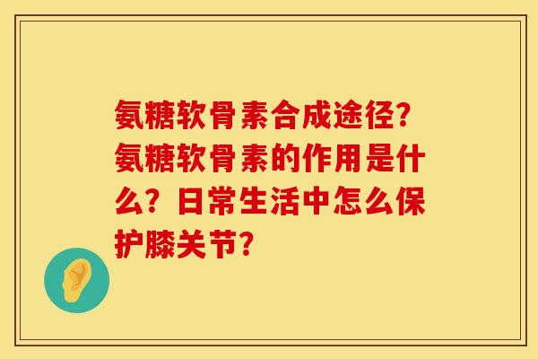 氨糖软骨素合成途径？氨糖软骨素的作用是什么？日常生活中怎么保护膝关节？