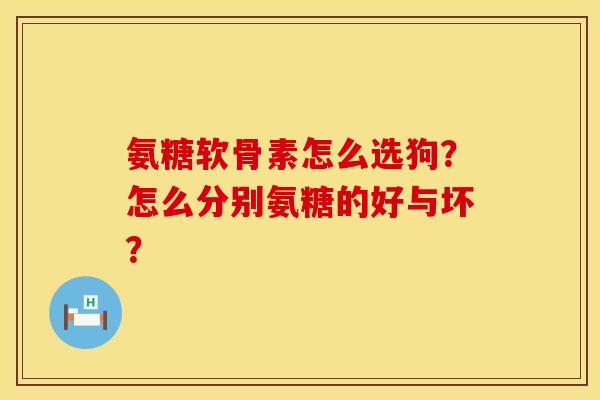 氨糖软骨素怎么选狗？怎么分别氨糖的好与坏？