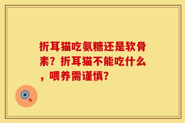 折耳猫吃氨糖还是软骨素?折耳猫不能吃什么,喂养需谨慎? 折耳猫吃氨糖还是软骨素?折耳猫不能吃什么,喂养需谨慎?