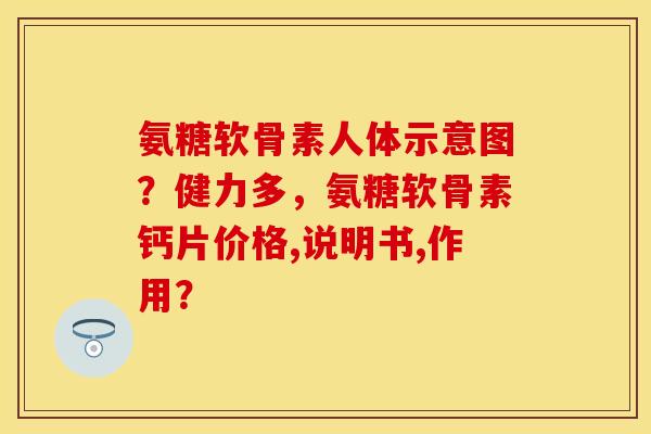 氨糖软骨素人体示意图？健力多，氨糖软骨素钙片价格,说明书,作用？