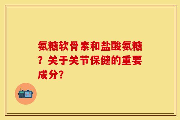 氨糖软骨素和盐酸氨糖？关于关节保健的重要成分？