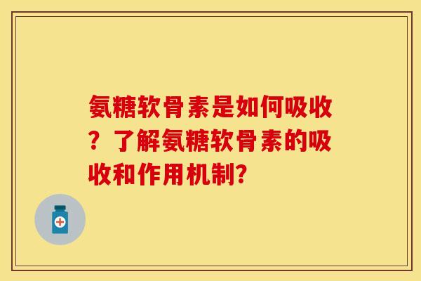 氨糖软骨素是如何吸收？了解氨糖软骨素的吸收和作用机制？