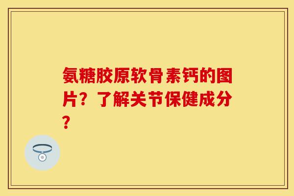 氨糖胶原软骨素钙的图片？了解关节保健成分？