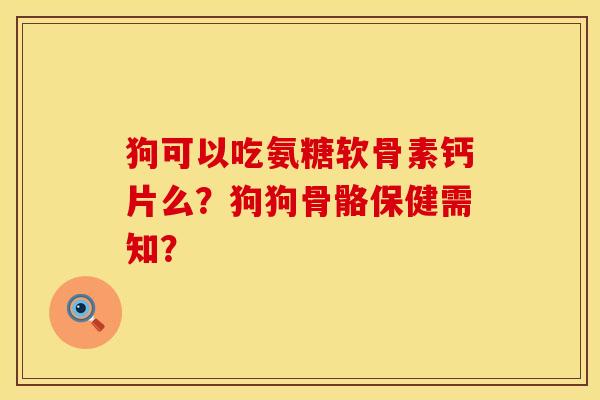 狗可以吃氨糖软骨素钙片么?狗狗骨骼保健需知? 狗可以吃氨糖软骨素钙片么?狗狗骨骼保健需知?