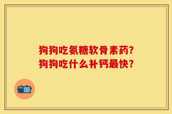 狗狗吃氨糖软骨素药？狗狗吃什么补钙最快？