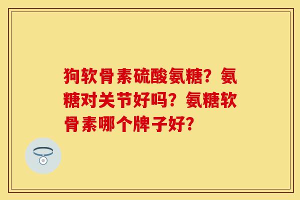 狗软骨素硫酸氨糖？氨糖对关节好吗？氨糖软骨素哪个牌子好？
