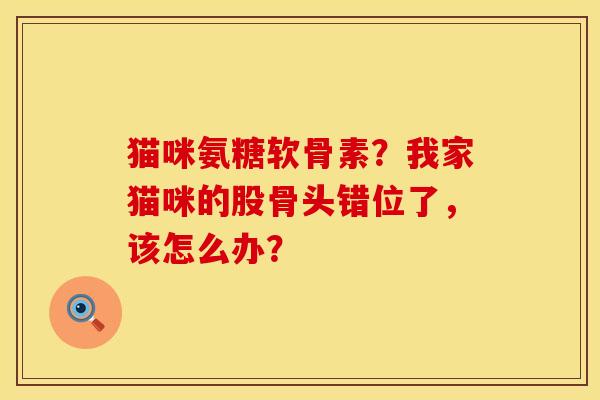 猫咪氨糖软骨素？我家猫咪的股骨头错位了，该怎么办？