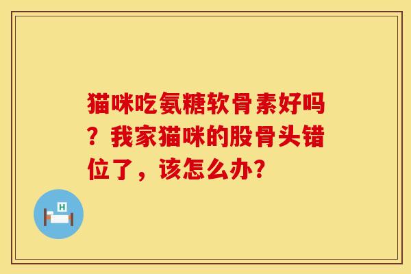 猫咪吃氨糖软骨素好吗？我家猫咪的股骨头错位了，该怎么办？