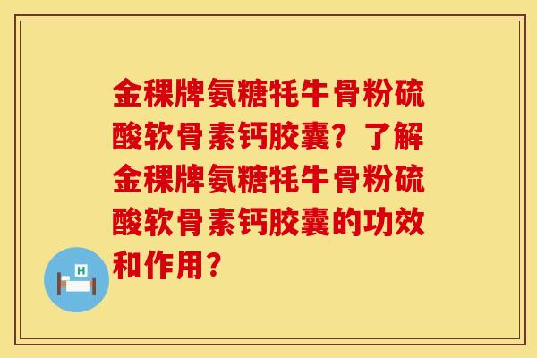 金稞牌氨糖牦牛骨粉硫酸软骨素钙胶囊?了解金稞牌氨糖牦牛骨粉硫酸软骨素钙胶囊的功效和作用? 金稞牌氨糖牦牛骨粉硫酸软骨素钙胶囊?了解金稞牌氨糖牦牛骨粉硫酸软骨素钙胶囊的功效和作用?